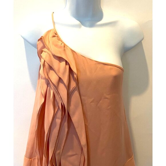 BCBGMaxAzria Blush Pink One Shoulder 100% Silk Ruffle Blouse Top Size S - Picture 8 of 15